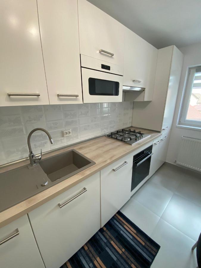Apartament „Viena” - 2 Camere Şelimbăr Kültér fotó