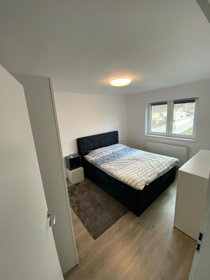Apartament „Viena” - 2 Camere Şelimbăr Kültér fotó